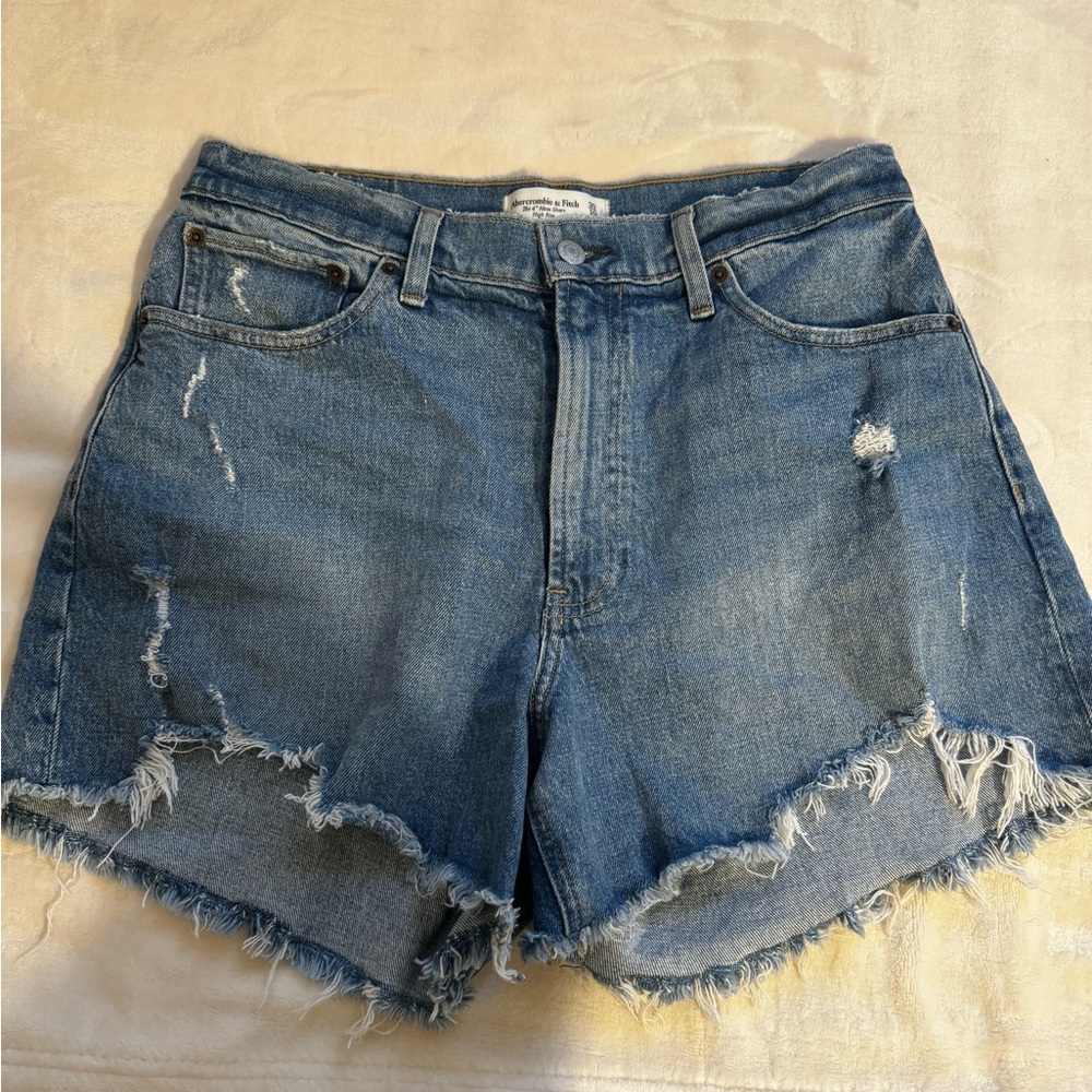 Abercrombie and Fitch Curve Love Mom Shorts